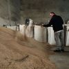 Poland disposing of Ukrainian grain spilled at the border