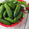 5 reasons to eat cucumbers daily and who shouldn't eat them