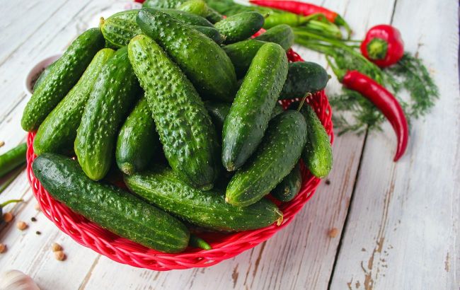 5 reasons to eat cucumbers daily and who shouldn't eat them