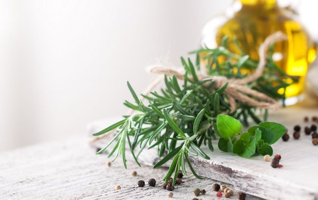 From culinary to dermatology: Dietitian explains benefits of rosemary