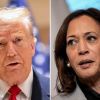 Harris' campaign team prepares for prolonged legal challenges after election - CNN