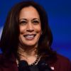 US Democrats begin voting to nominate Harris for president