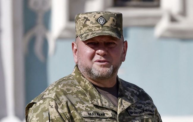 Zaluzhnyi makes statement after dismissal and Hero of Ukraine award