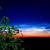 Sky mystery over Ukraine: Rare glowing clouds spotted above Sumy, photos