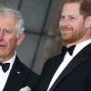 Prince Harry after reunion with Charles: 'Focus really has to be on my dad'