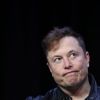 Elon Musk reveals his antisemitic views: What's wrong with owner of X?