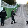 Emigrants tried to enter Finland illegally from Russia: Border guards used gas