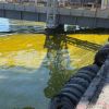 Russian strikes on Ukraine's Odesa port spill tons of sunflower oil in Black Sea