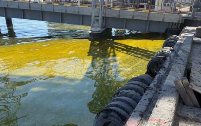 Russian strikes on Ukraine's Odesa port spill tons of sunflower oil in Black Sea
