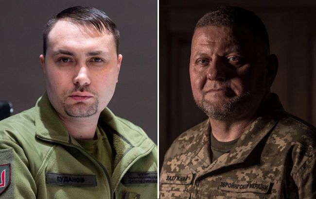 Zelenskyy grants Zaluzhnyi and Budanov title of Hero of Ukraine