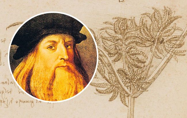 Leonardo da Vinci's mistake, experts proved wrong famous theory of the scientist