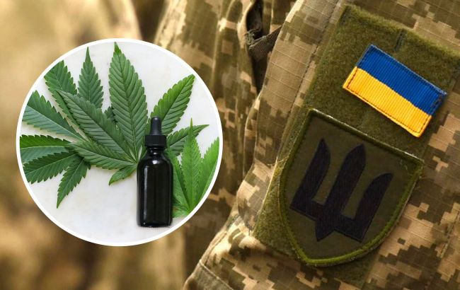 Ukraine plans to legalize medical cannabis for the military, Bloomberg