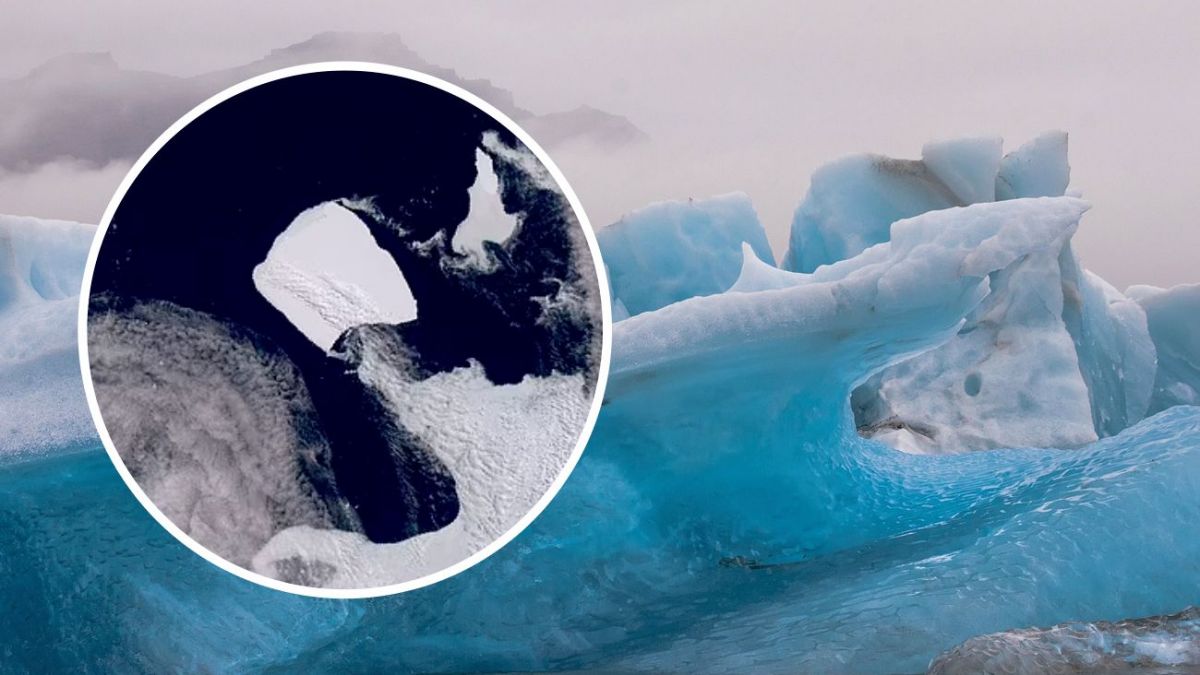 World's largest iceberg begins its movement after a 30-year hiatus | RBC-Ukraine