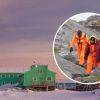 Ukrainian polar explorers show photos of their curious 'assistants'