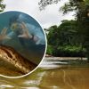 Scientists discover world's largest snake: 8-meter green anaconda weighing 200 kg