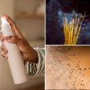 3 common household items that may harm your health
