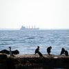 Russia strikes Ukraine's Odesa port again, damaging ship and injuring 3 people