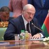 Lukashenko claims no successor, says he was urged to run for election