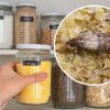 Easy way to get rid of pantry moths