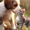 Cats or dogs? Scientists determine what pets reduce stress and dementia risk