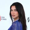 Dua Lipa supports Ukrainian army with life-saving vehicle donation