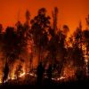 Chile wildfires: At least 112 died as flames rage across the country