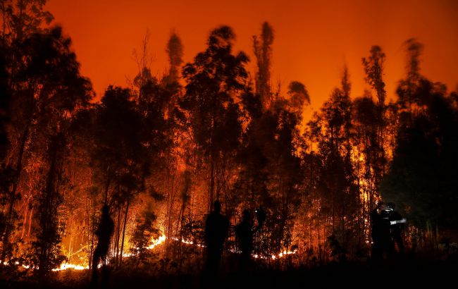 Chile wildfires: At least 112 died as flames rage across the country