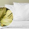Benefits of placing bay leaf under pillow and in bathroom