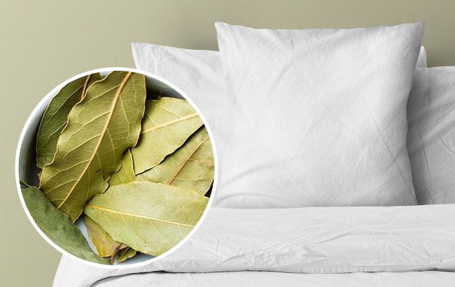 Benefits of placing bay leaf under pillow and in bathroom