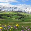 Switzerland's glaciers melt at record pace amid extreme heat