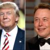 Trump addresses claims of Musk's growing political influence in US