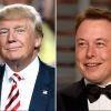 Trump and Musk strengthen ties at SpaceX launch in Texas