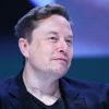 India eyes premium EVs - Musk sets sights on world's third-largest market
