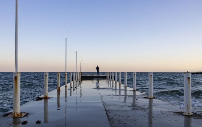 Entire ecosystem at risk: How Russia's war could kill the Black Sea wiping out its wildlife