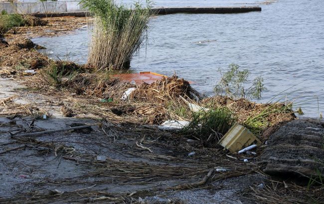 Ukraine's Odesa beaches hit by oil pollution, dead birds discovered