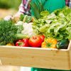 Vegetables and fruits containing harmful chemicals