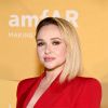 Kyiv Zoo remembers Hayden Panettiere's special connection with Tony the gorilla