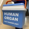Venezuelan man fights deportation to donate kidney and save his brother’s life