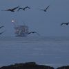 ExxonMobil in talks to resume oil production in Russia - WSJ