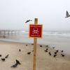 Romanian navy defuse drifting mine on Black Sea coast