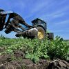 Russians willing to seize farmers' crops in Kherson region
