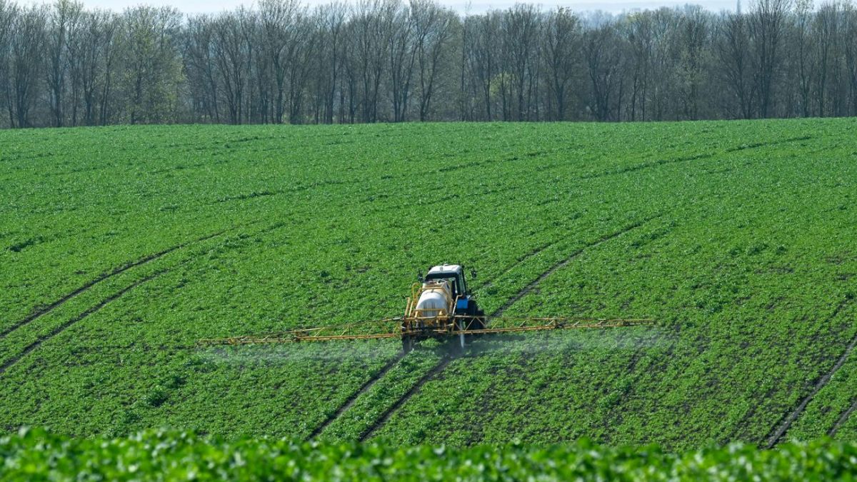 War in Iran hits Ukrainian farmers: Producers cut planting areas