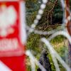 Poland deports 15 Ukrainians: Here's why