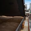 Russia struggles to export new grain harvest as major agribusiness profit plunges 99%