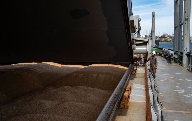 Ukraine urges Israel to seize ship PANORMITIS over stolen grain