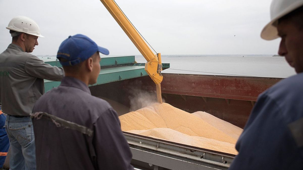 World wheat prices grow sharply as Russia pulls out grain deal