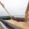 Ukraine's grain exports may fall 53% as Russia targets ports, Bloomberg reports