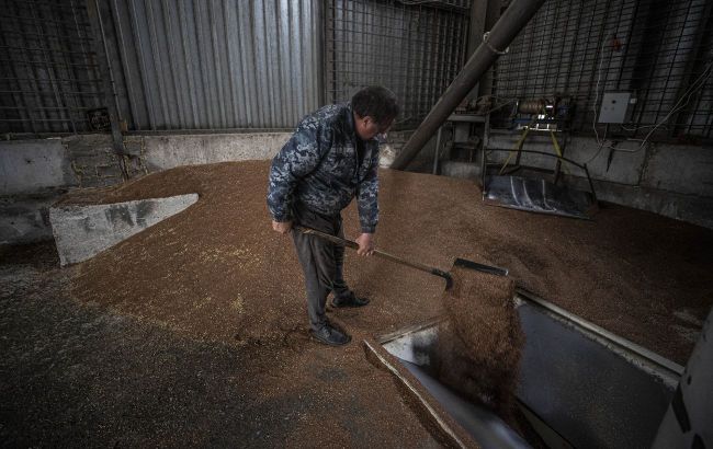 Russians destroy 180,000 tons of Ukrainian grain in 9 days - MFA of Ukraine