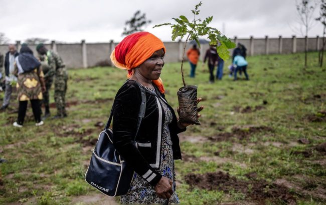 Kenyan government declares day off for planting 100 million trees