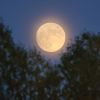 China launches year-long space mission as race for the Moon intensifies